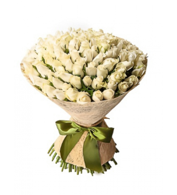 Yeşil Kurdeleli Premium Beyaz Gül Buketi (101'li - ~60 cm)